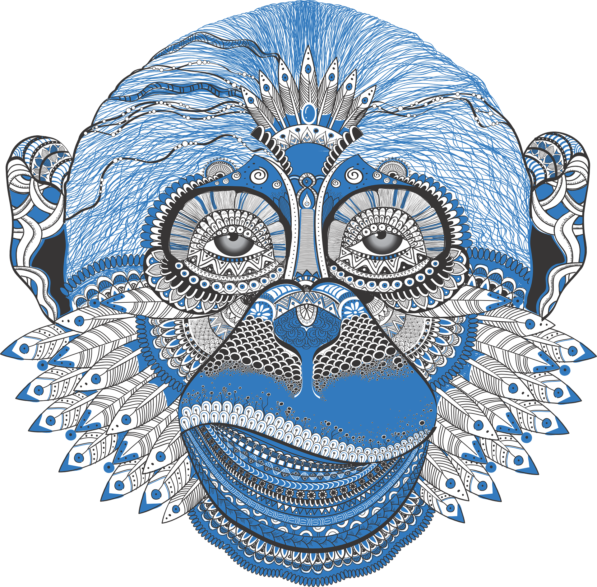 igla_111-monkey-786858_1920